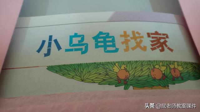 语言中小乌龟_屈老师中班语言优质课教案《小乌龟找家》