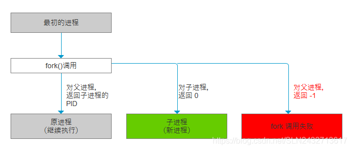fork函数调用