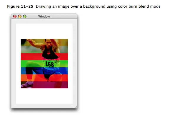 9052647-0954664cc2013a96.png