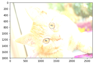 img_cddc0169817dd6748c49443b9ae277a6.png