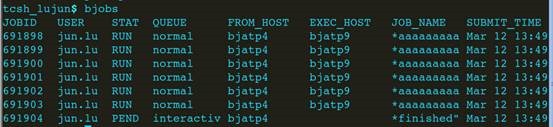 Linux 下bsub命令-CSDN博客