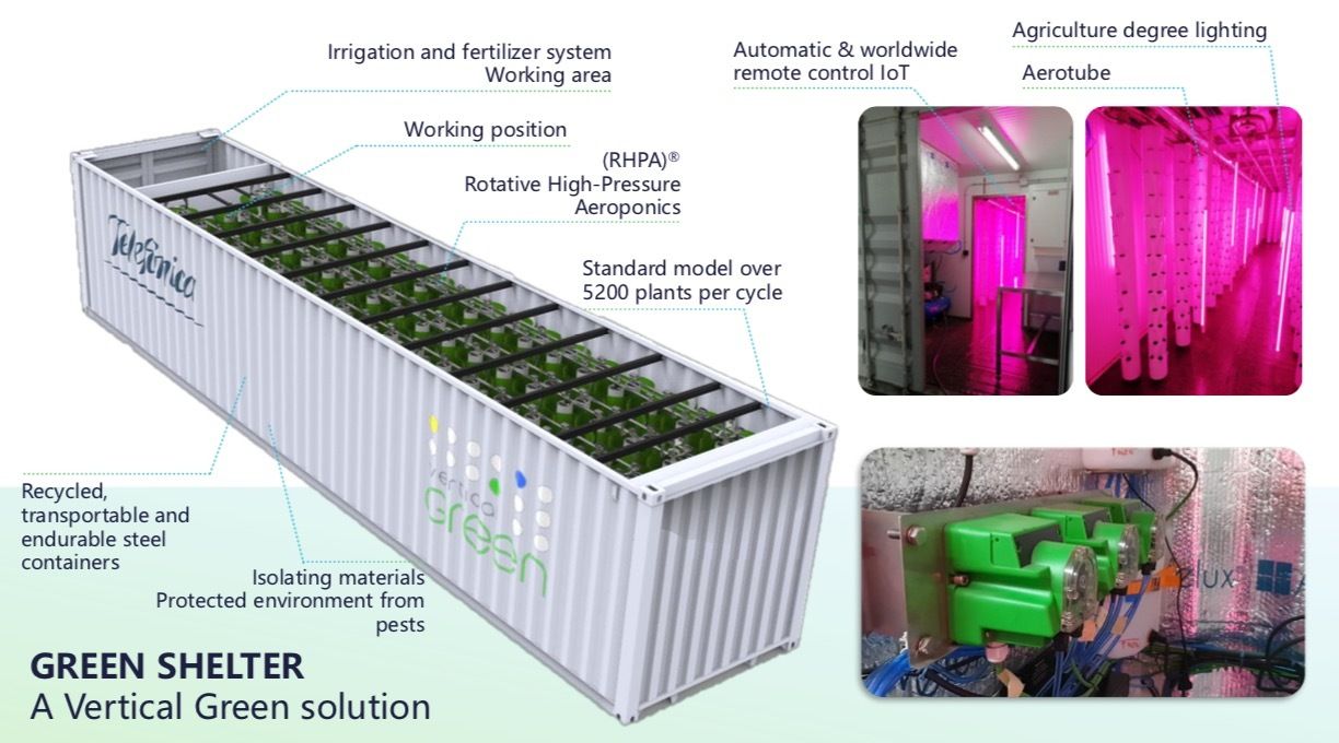 我敲了 13 年代码，却成了一个养蜂人