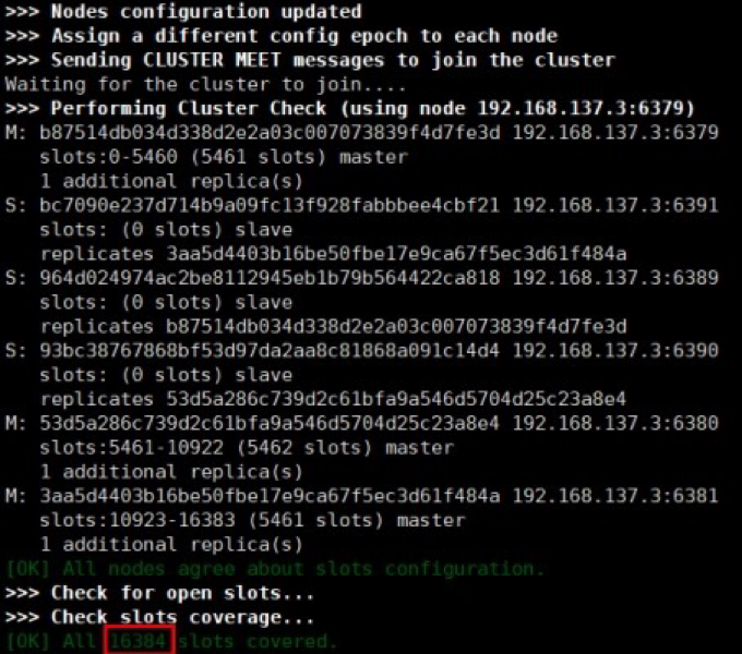 image-20211216115644168