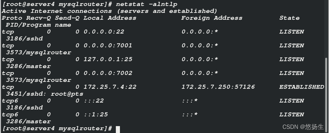 MySQL Router与MAH高可用方案详解-CSDN博客