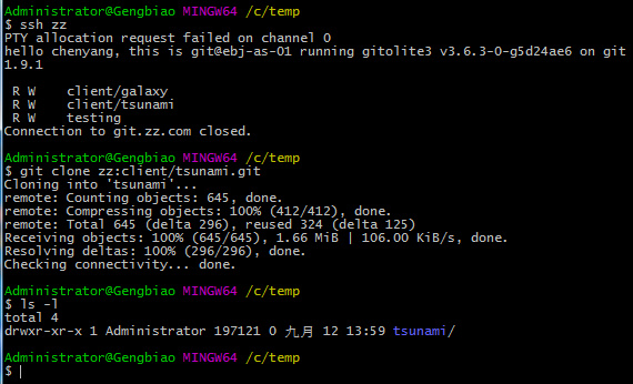 Windows下git安装及使用技巧