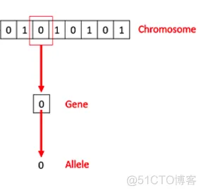 【TSP问题】基于遗传算法求解多旅行商问题matlab源码含GUI_matlab_02
