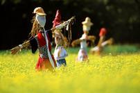 下一张 台湾推出“世界最佳旅游”