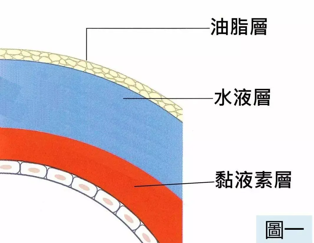 2530112-81e23980432bdd81.png