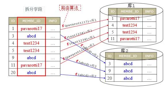 webp
