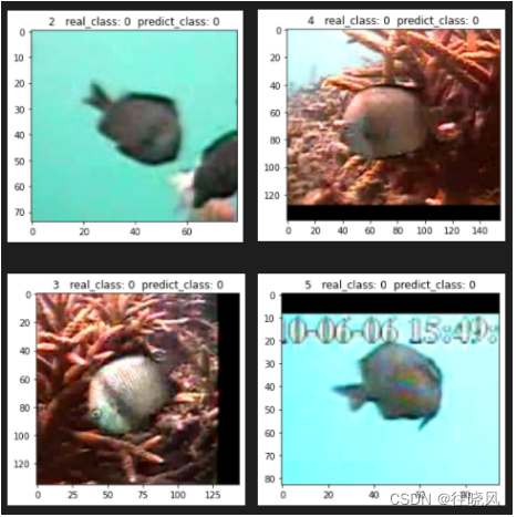 测试结果与真实值对比