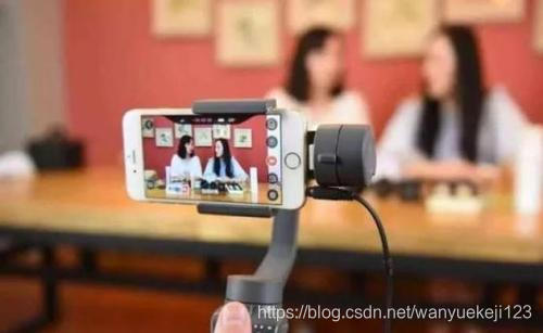 电商直播平台开发