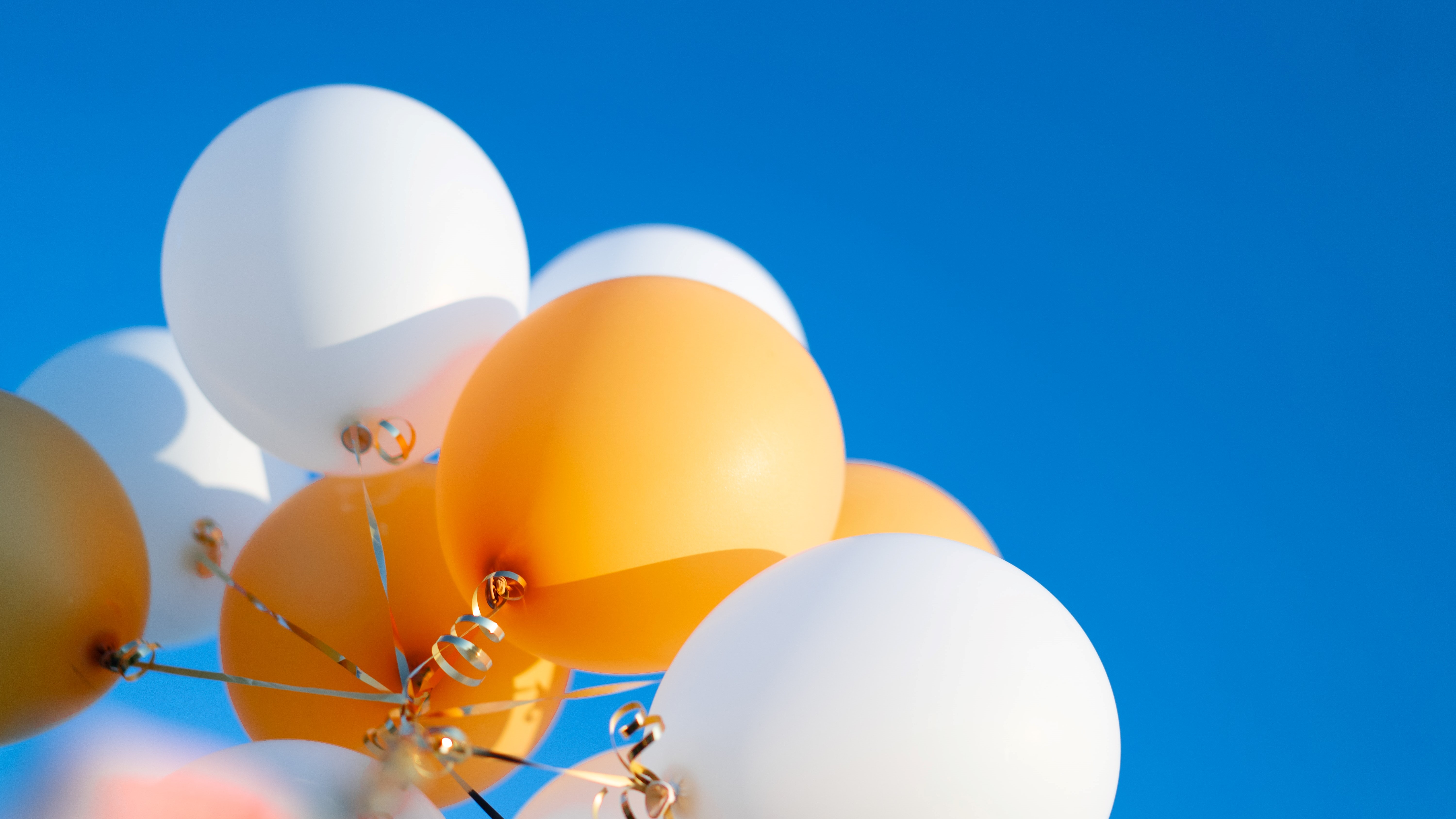 头图.jpg 头图.jpg