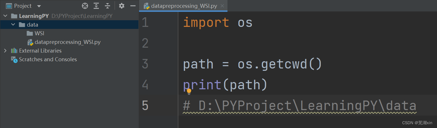 【Python-OS】os.getcwd()的使用-CSDN博客