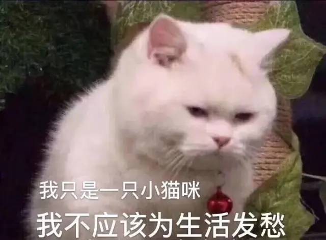 1029a9b8599a49447f4ebafe1da7aa99.jpeg