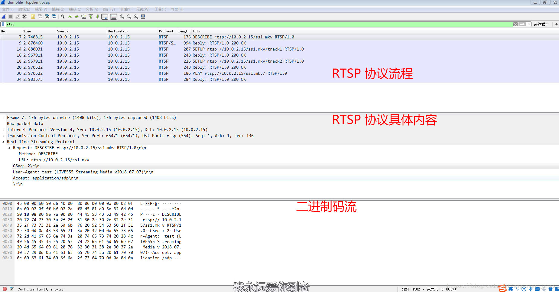 rtsp