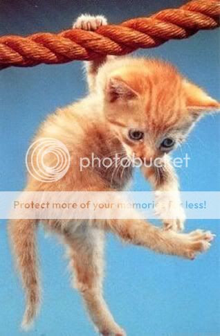 点击在新窗口中查看该图片