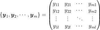 \left \{ \boldsymbol{y}_{1},\boldsymbol{y}_{2},\cdots,\boldsymbol{y}_{m} \right \}=\begin{pmatrix} y_{11} & y_{21}& \cdots& y_{m1}\\ y_{12}& y_{22}& \cdots& y_{m2}\\ \vdots& \vdots& \ddots & \vdots\\ y_{1l}& y_{2l}& \cdots & y_{ml}\end{pmatrix}