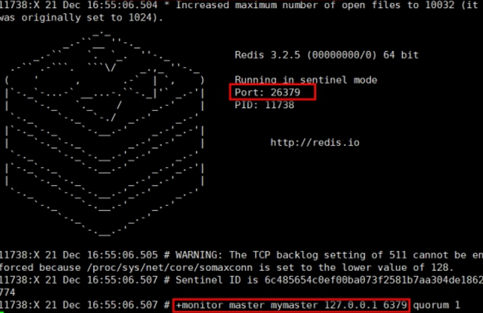 image-20201216211803768