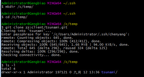 Windows下git安装及使用技巧