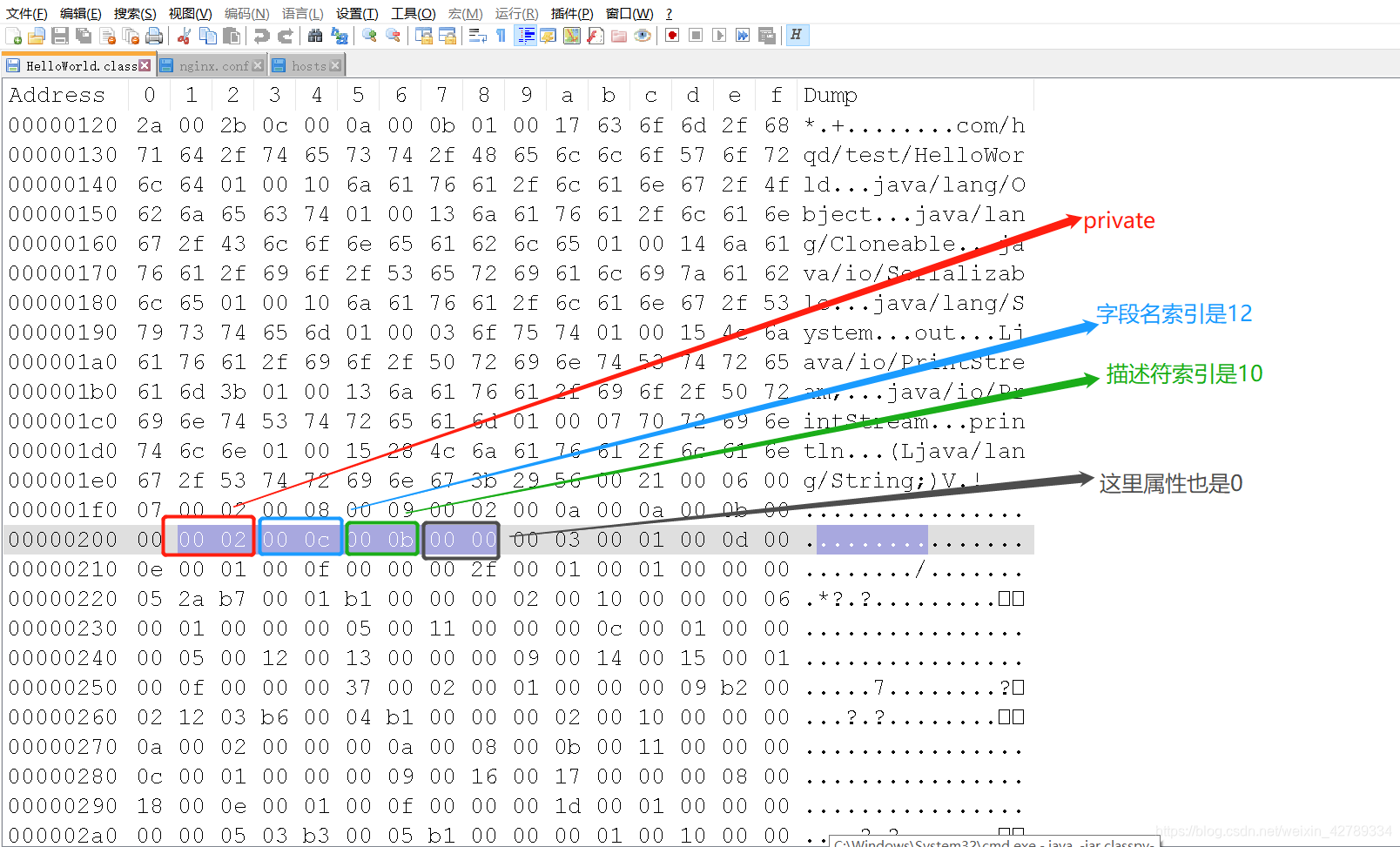 在这里插入图片描述