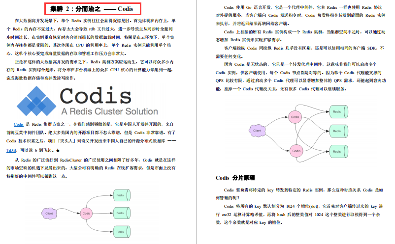 腾讯强推Redis成长手册！原理+应用+集群+拓展+源码五飞