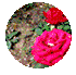 2c1c9dec6d822f3a426bb6035f43aaa4.gif