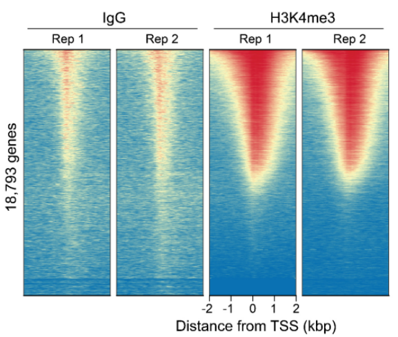 Epicypher热销产品——CUTANA™ ChIC/CUT&RUN Kit