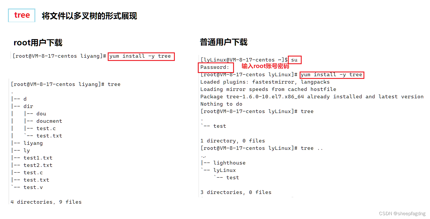 Linux简单指令|cd|touch|mkdir|rmdir|rm_使用cd命令进入图05中创建好的目录,再使用touch新建一个文本文件 ...
