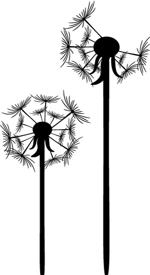 d881d89376615ca0bf5d001b31cc642f320.png