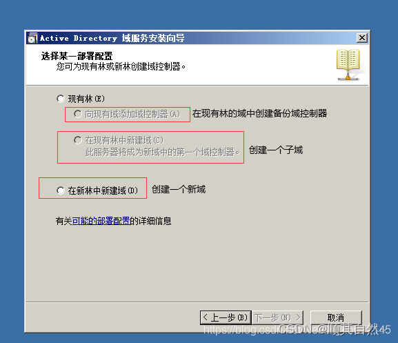 AD域的详细介绍