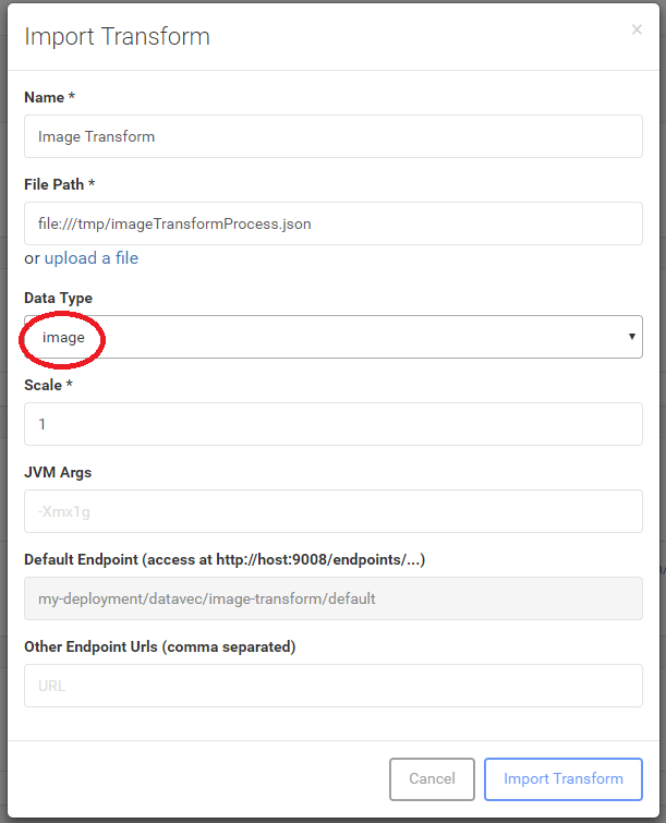 Importing an image transform process