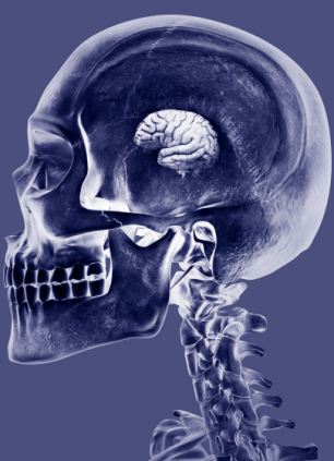 研究人员认为一些持续性基因突变将有害于人类智力