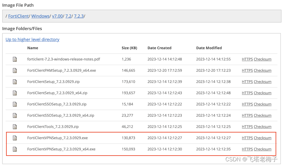 【隧道篇 / SSL】(7.4) 01. 只允许国内IP通过SSL VPN访问内网 FortiGate 防火墙_ssl隧道-CSDN博客