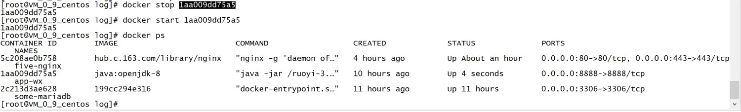 『中级篇』docker之java容器运行外置springboot-jar（番外篇）（79）