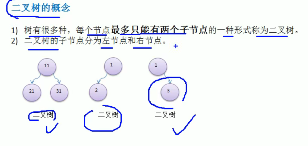 image-20220212202522667