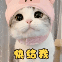 3894564676ab240091c3a750d405d957.gif