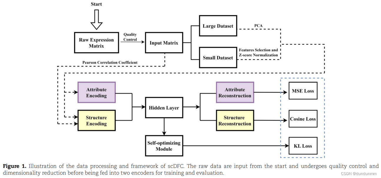 论文阅读：scDFC: A deep fusion clustering method for single-cell RNA-seq ...