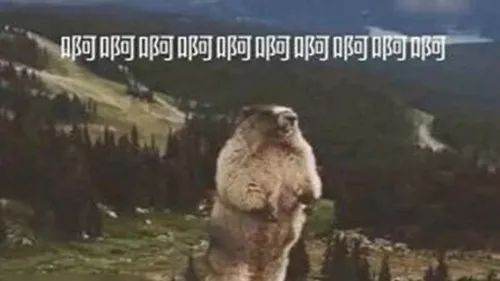 640?wx_fmt=jpeg