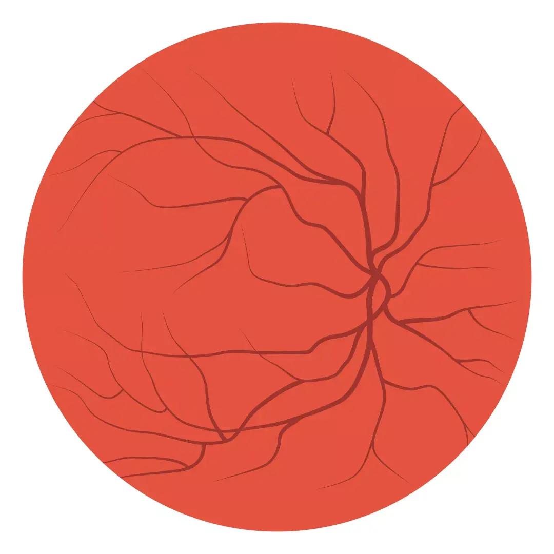 2530112-8eb5dfa12933ab91.png