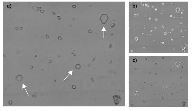 æµè°æºå¨è§è§ä¹BLOBå¾åå¤çææ¯