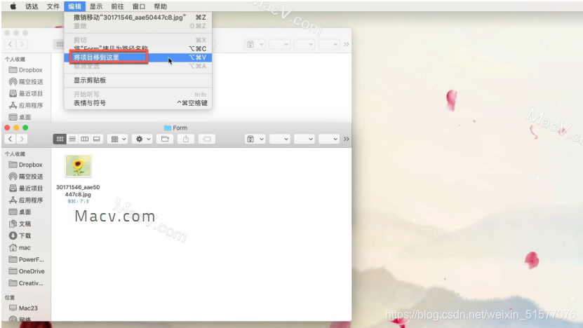 想知道如何在Mac上剪切文件吗？一定要看这篇文章！_mac如何剪切-CSDN博客