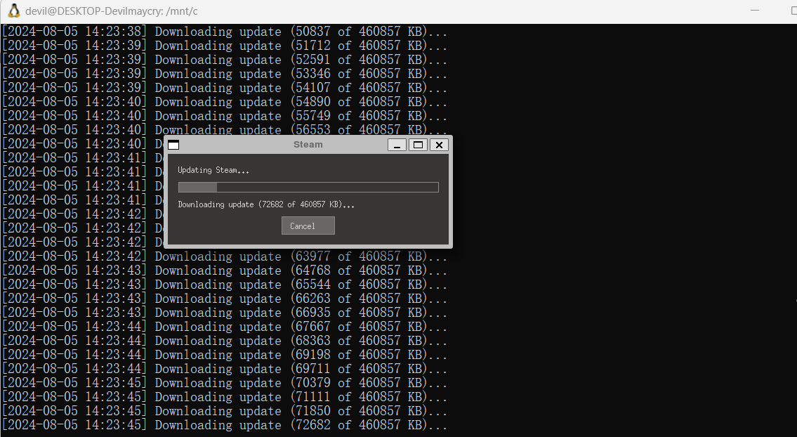 ubuntu系统下安装 steam 游戏平台_下载安装_02