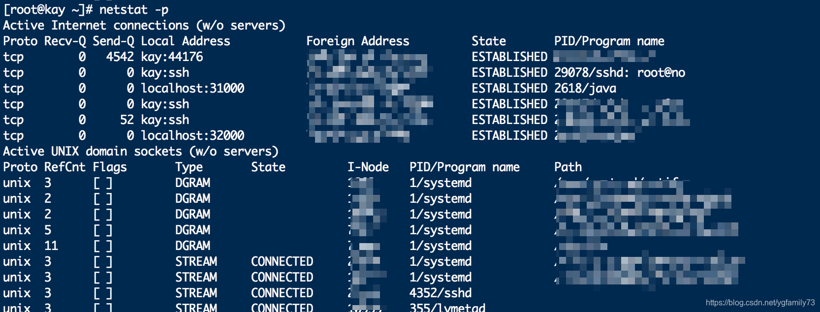 netstat -p