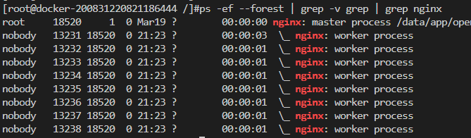 nginx1-master与worker