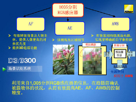 [转载]自动白平衡基本原理与应用实例看图说话(转载)