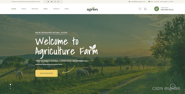 网站策划中的交互设计与导航优化