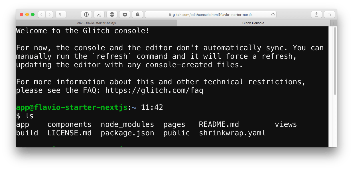 The project console