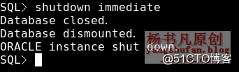 杨书凡39.png