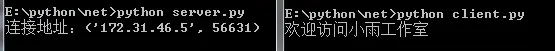 3110861-20fa8c0cafe0eb56.png