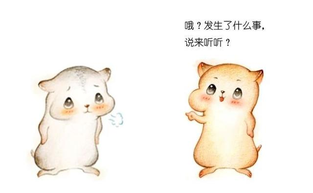 漫画：什么是中台？